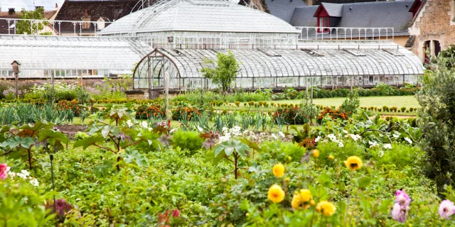 Bonnétable - Jardin potager