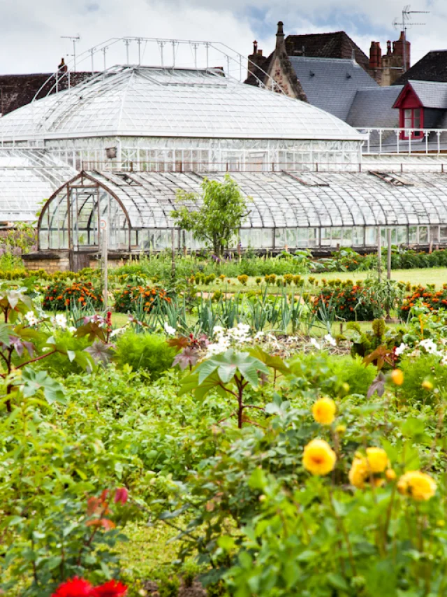 Bonnétable - Jardin potager