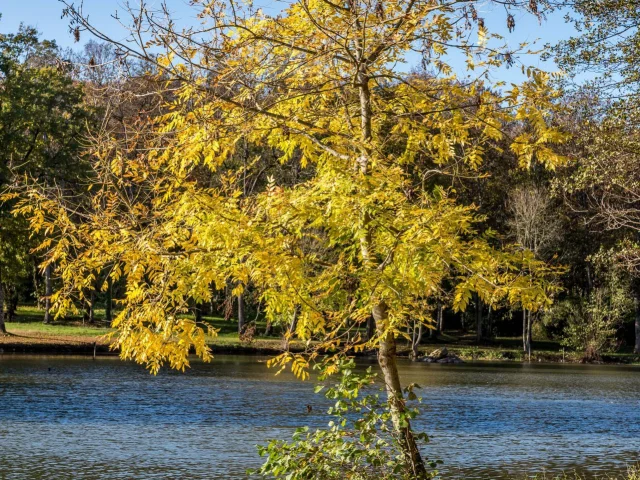 Peche Etang Sarthe