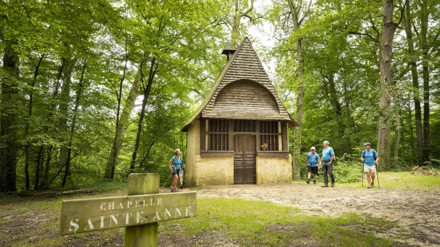 Forêt de Vibraye