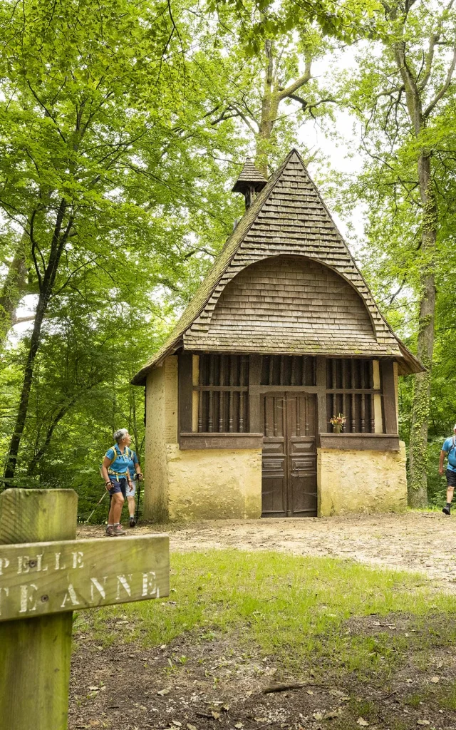 Forêt de Vibraye