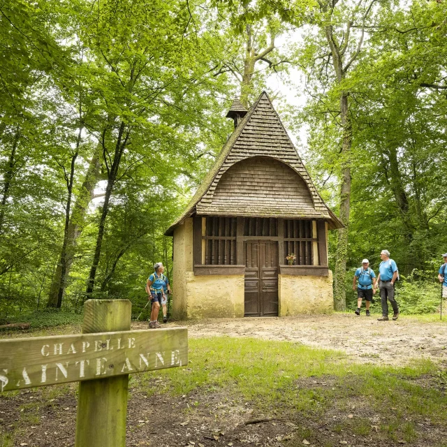 Forêt de Vibraye